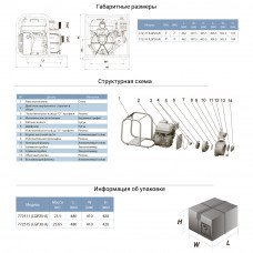 Мотопомпа 6,5 л. с. Hmax 30м Qmax 60 м3/год (4-х тактний) LEO (772515) SIGMA
